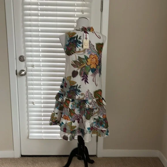 Dress Raga - Picture 3 of 3